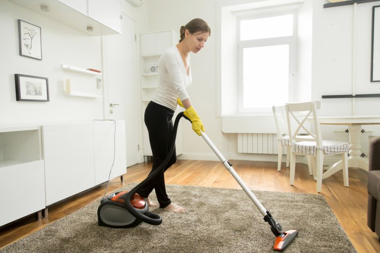 5 Best Carpet Cleaners